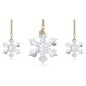 DECORAZIONE 2022 SET STELLE DI NATALE SWAROVSKI