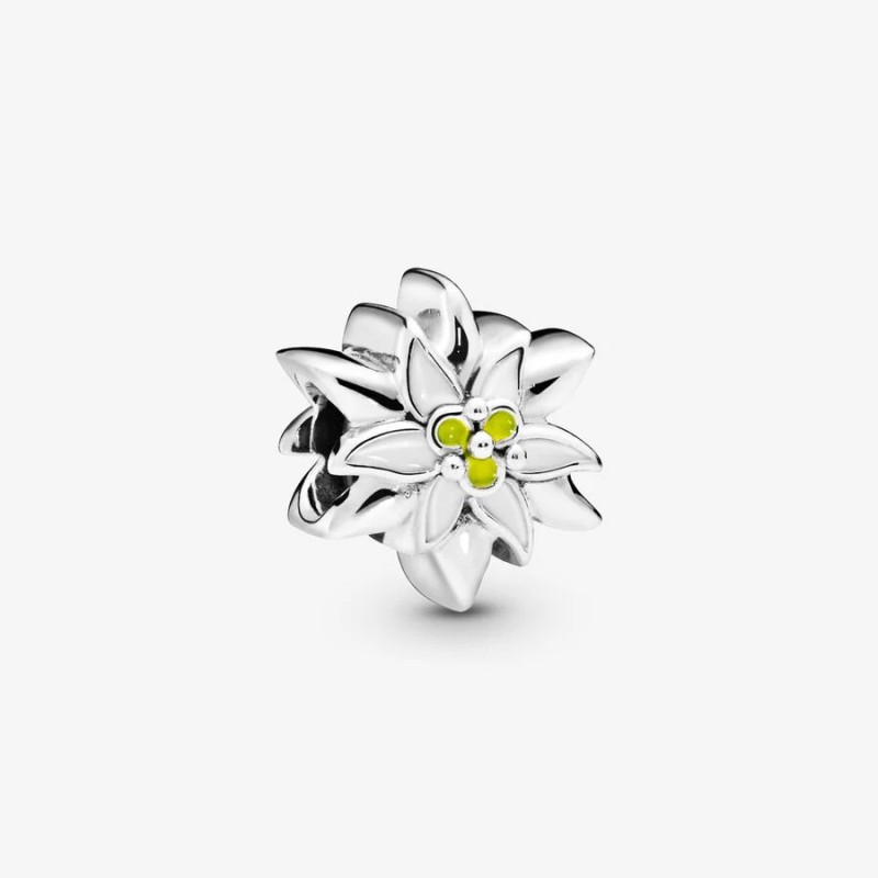 CHARM STELLA ALPINA DONNA PANDORA MOMENTS