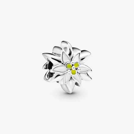 CHARM STELLA ALPINA DONNA PANDORA MOMENTS