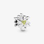 CHARM STELLA ALPINA DONNA PANDORA MOMENTS