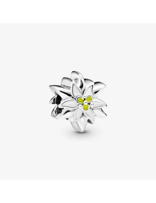 CHARM STELLA ALPINA DONNA PANDORA MOMENTS