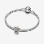 CHARM STELLA INTRECCIATA LUMINOSA DONNA PANDORA 