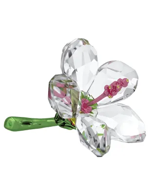 DECORAZIONE FLORERE IBISCO PICCOLO DONNA SWAROVSKI 