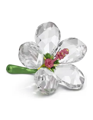 DECORAZIONE FLORERE IBISCO PICCOLO DONNA SWAROVSKI 